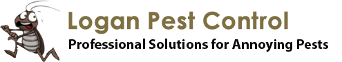 Logan Pest Control | Australia